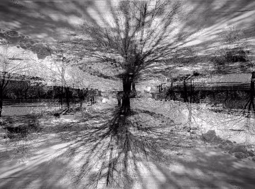 Item #60286361363657250857601775030637471218171117852543341295073303934886171639809 Media