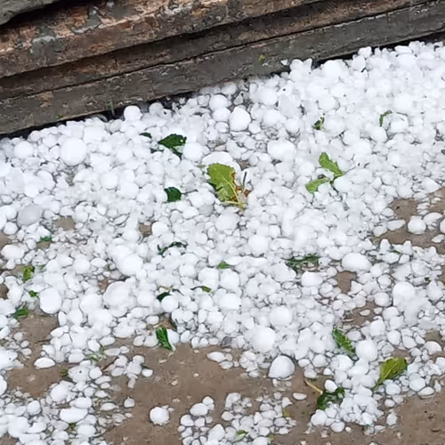 Nomanawan Collection