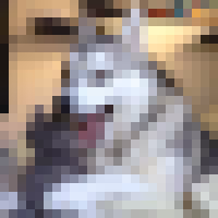 33014239430123329093898331881460735377495709184835535103393264302612010762241