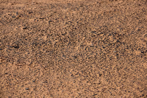 Item #105679162715773690367894814568251153202929894369313826483118647816902718521349 Media