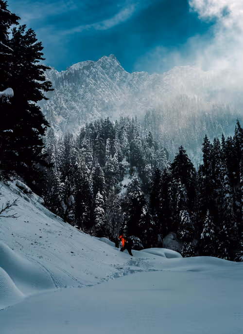 Item #106096322599603620341222276342369033024048943291878962669270680824709069668353 Media