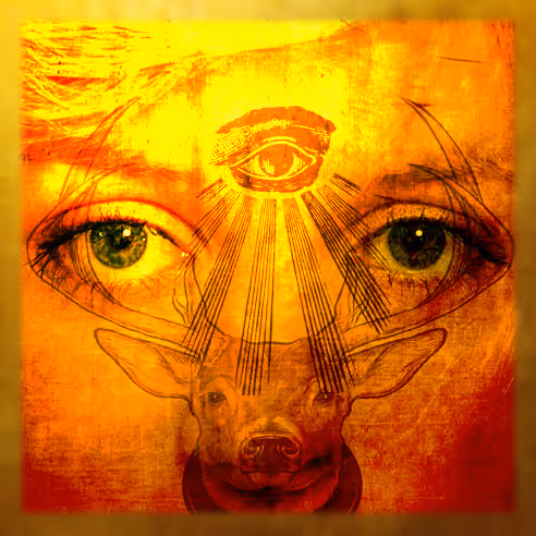 Item #54122820079415037529041165263863470112191810228707565026527697882242644705281 Media