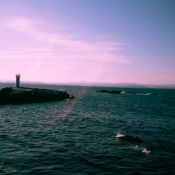 Nostalgia #8. 2022. Pohang Korea.