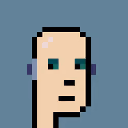 CryptoPunk #010