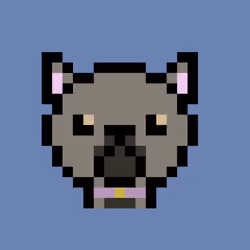 Marley - Bulldog