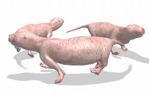 Item #93779550390020480377429349939349333269021352534400832232391294759973412667393 Media