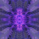 91781735093118699696434520670287777768220552675276718009576234538715599339521