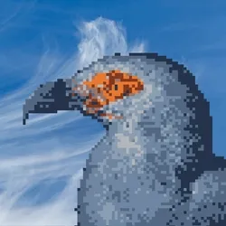 Pixel Raptors - Palm Nut Vulture