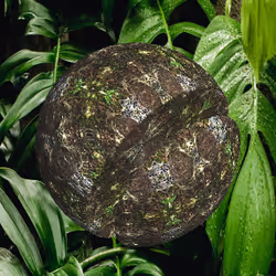 35342599194526675942797314804155433171702563051095129794763872305756030107649