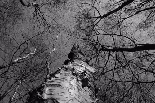 Item #40160686583094733528677484039903516258611509642019211679321071283547351810049 Media