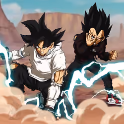 Goku and Vegeta | Dragon Ball Z
