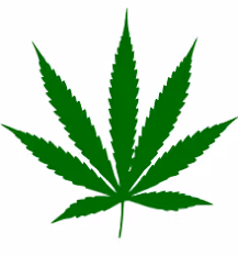i_got_high