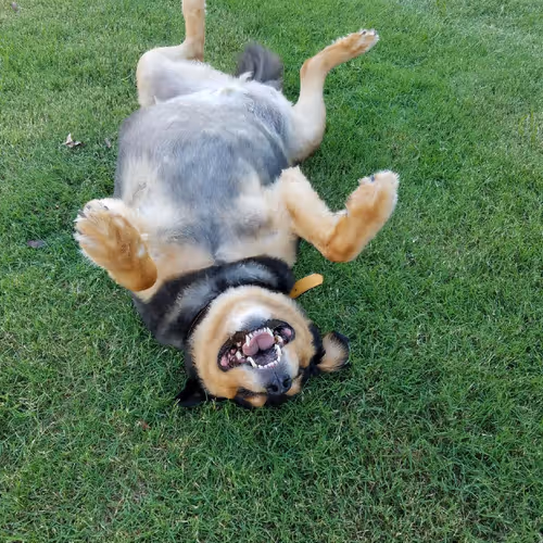 Untitled Collection #71368203