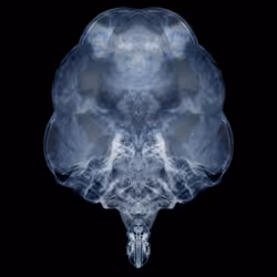 85859191866638808365331437874953228966785819470149775310971062060849668554753