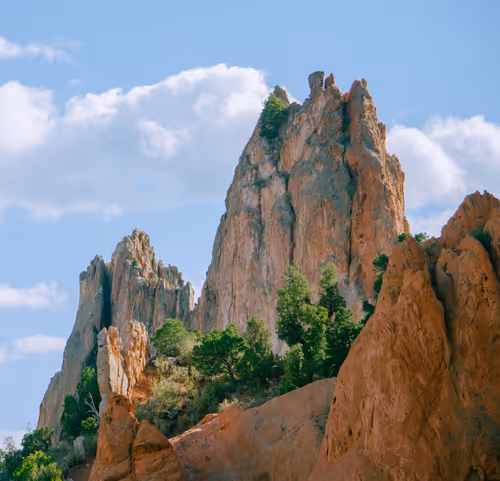 Item #83625231168864970045539605410069256261495624931970233410894617939766377709569 Media