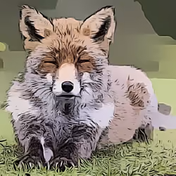 Fox 4