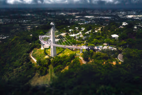 Item #94729080485503513708329965317332491879903775520225674536844109483012303880193 Media