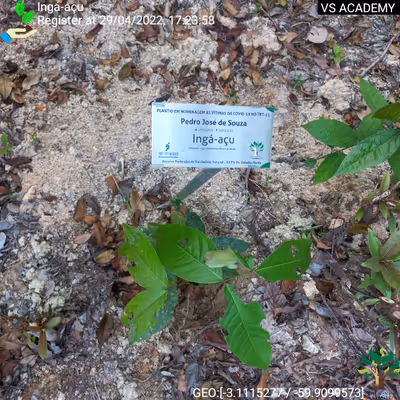 Item #8500196597889277390194123329501889087166328879864934763448348852303616278529 Media