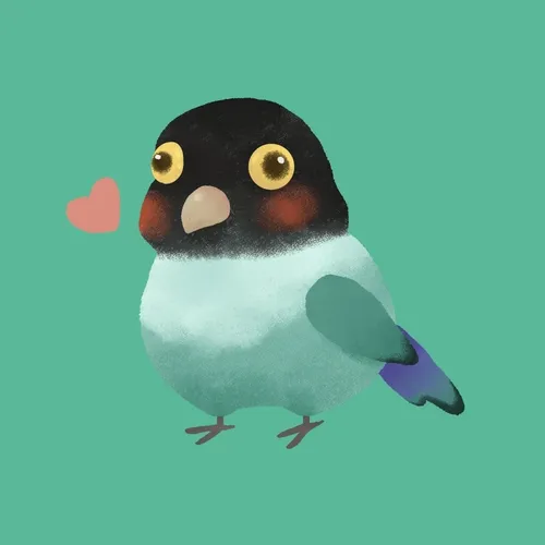 Chubby bird #10: Turquoise Masked Lovebird