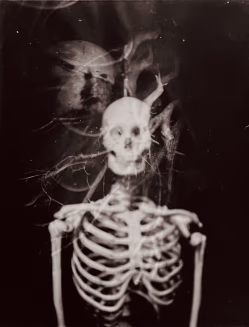 Item #82196435691424038438972242363864504976407001145629113574534692516289044283614 Media