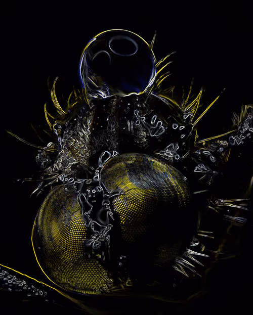 Item #112357457195153001497773786489249045252427376720708510106941895555137797095425 Media