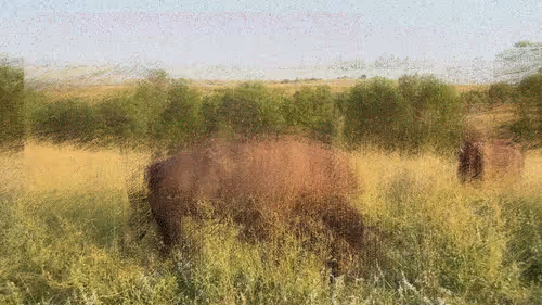 Item #105089968166921690156624725616502706642431777719922472152070405805225663266817 Media