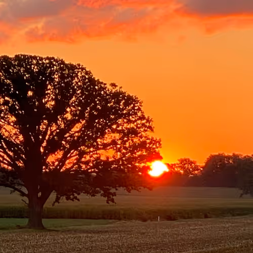 MsHeatherAsh Collection