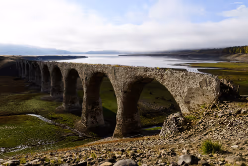 Item #48859137615643323655196029833503422829626660192385446551357751578758098190337 Media