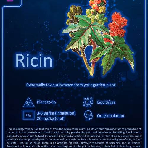 94280673873177462608162102439760652801338708629220639874744065264828249276420