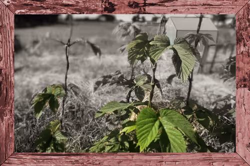 Item #20568184970538251390172672421791262085830619472527085782365060438712087740417 Media