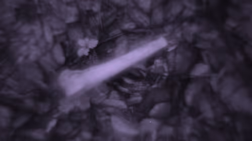 Item #103537636428956788553245855199027552722548685417663804032293973226149692571649 Media