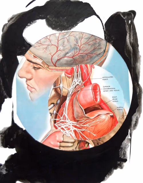 Item #35041902778173331559680500540735012093335203387204658820110218346737935843329 Media