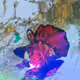 50351019710823885240711470716980260458392717935918933641790228706809027231745