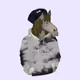 78510176308120088543636628344241970846365372577061393206773301812285621141505