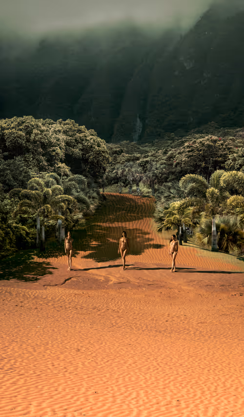 Item #83332782865168099246111470793904216784049773190563389119764666172897864187914 Media