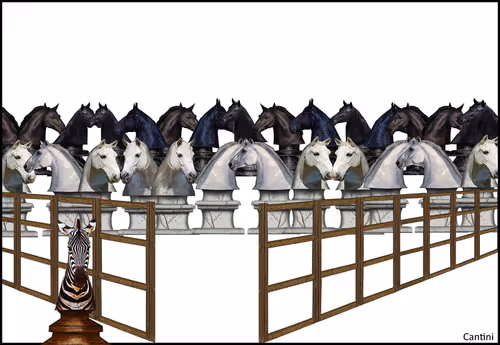 Item #44306513722607336604677597718325655396878398991234053508124298850820975230977 Media