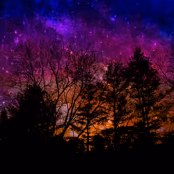 Into the Metaverse