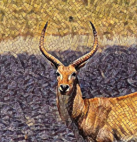 Animal Art V4