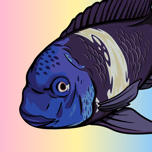 Item #99620656202236369670212750088610447773363779077513508929770885112263404945409 Media