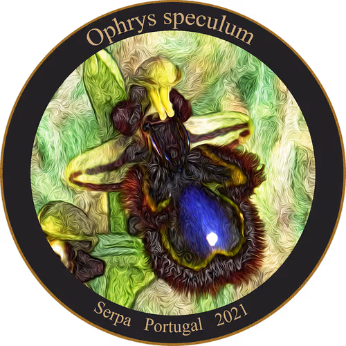 Item #83346383481971607988729477170446348570292642791419063456680174154999924785153 Media