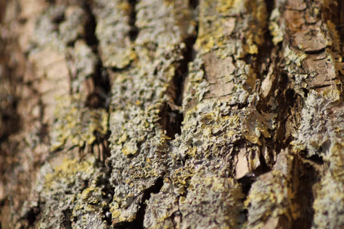 51124555051901614330264480006545612592022390906904121289505624503035096989697