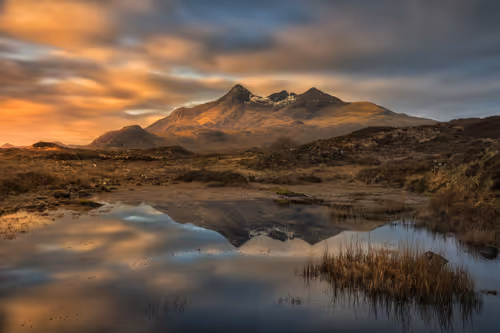 Item #33905874090819082513688943538230910820806372635716531311002980206939610284033 Media