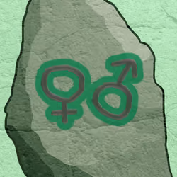 Rock ID 2:  ♀♂