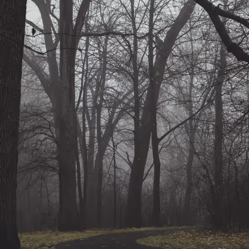 Echoes Of Solitude