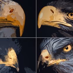 Birds of Prey Collage