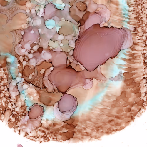 Item #29520418552145809798583464197808626937236403153754494126203225322060815269976 Media