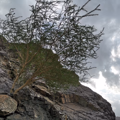 Untitled Collection #192640677