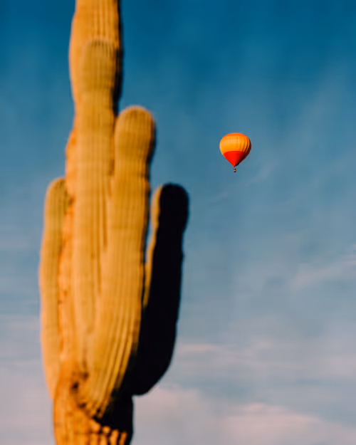 Item #38141354076463530561040962917951676198297601160396849426667128794501101912065 Media