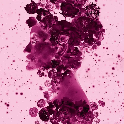 114326855260130091769496603532190643749551084567769454944154782503580007923713