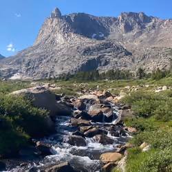 Alpine fresh  